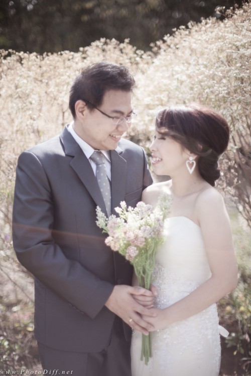 PRE-WEDDING Dream & Keng PASTEL for WEB-0075