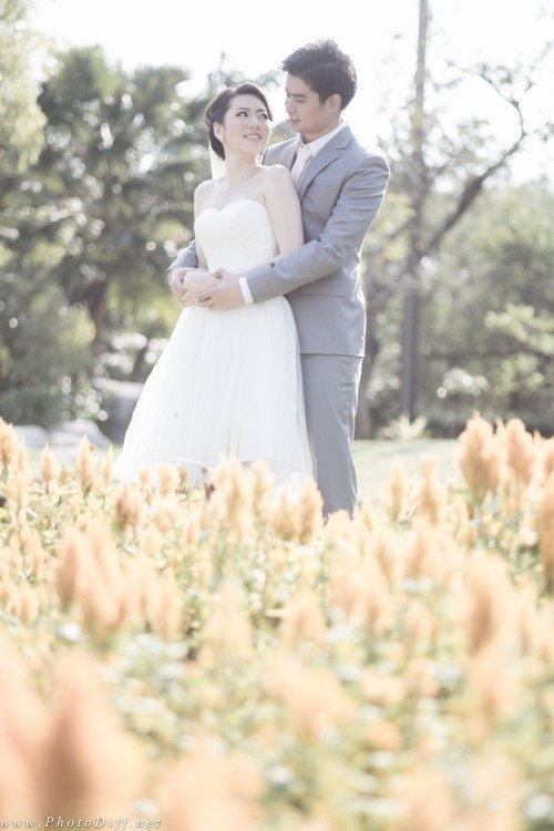 PRE-WEDDING Namwann & Tom PASTEL for WEB-0148